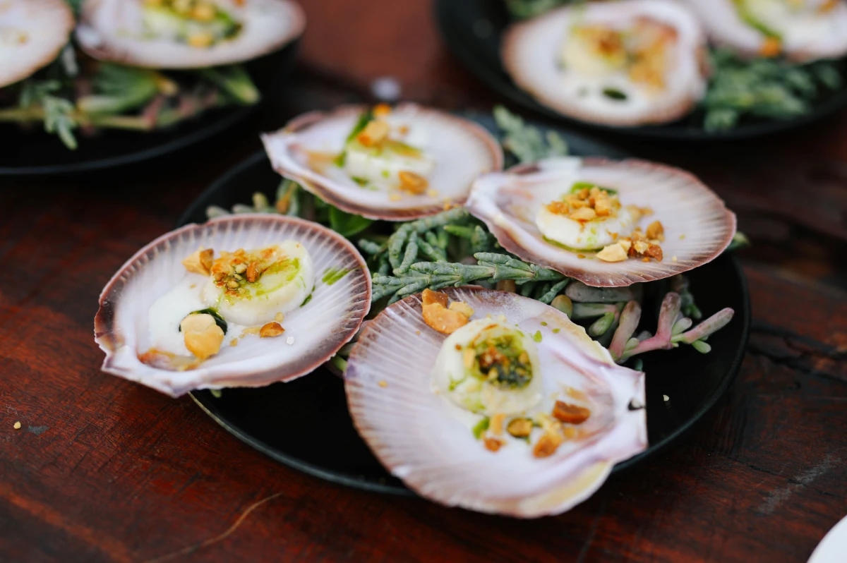 the maali event catering